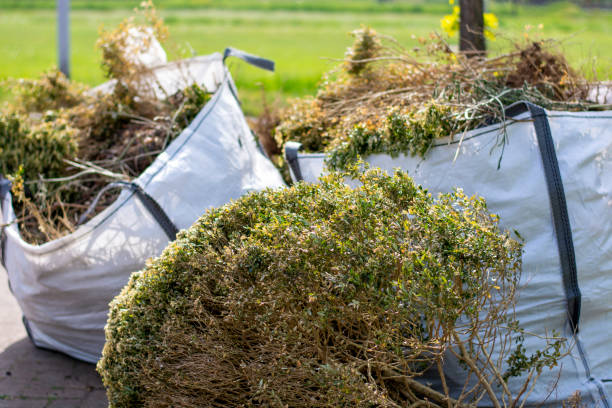 Best Office Cleanout  in Thorp, WI